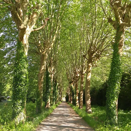 Bed & Breakfast Domaine De Bramefaon 3*