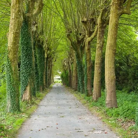 Domaine De Bramefaon 3*